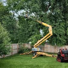 Best Lawn Mowing  in Whitfield, FL